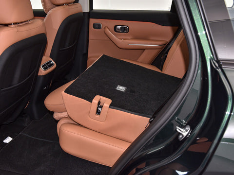 Leapmotor C10