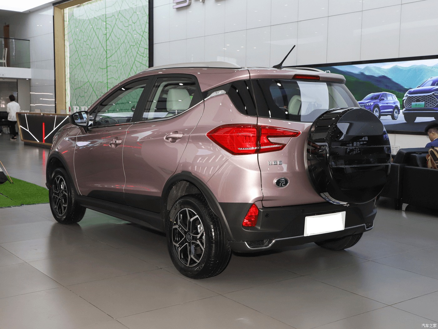 BYD YuanPro