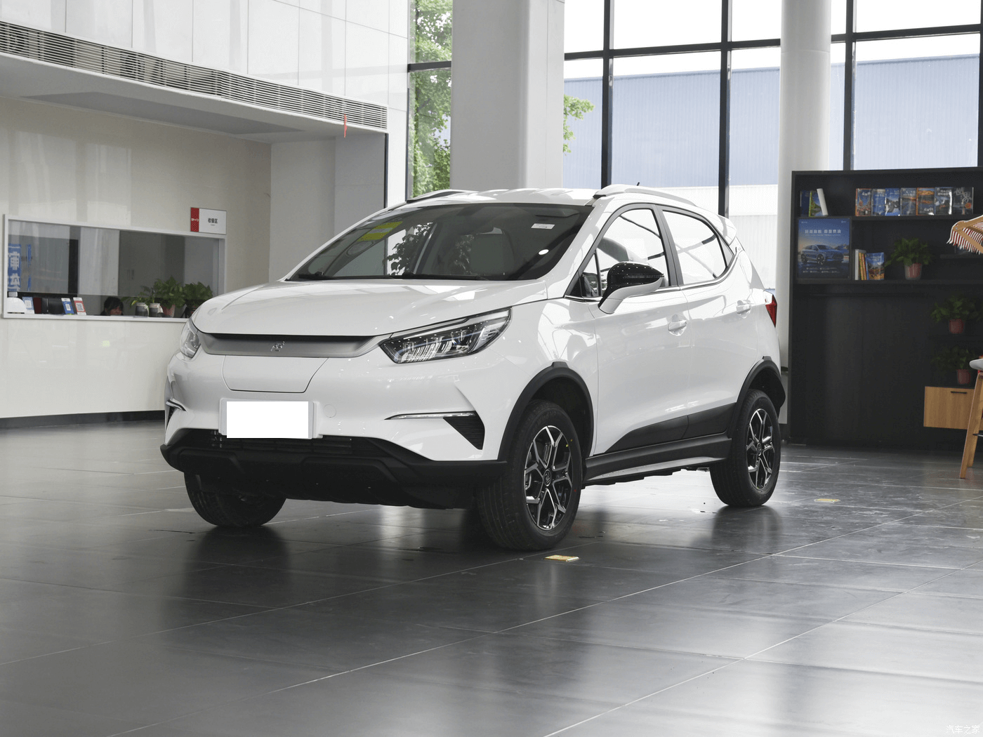 BYD YuanPro