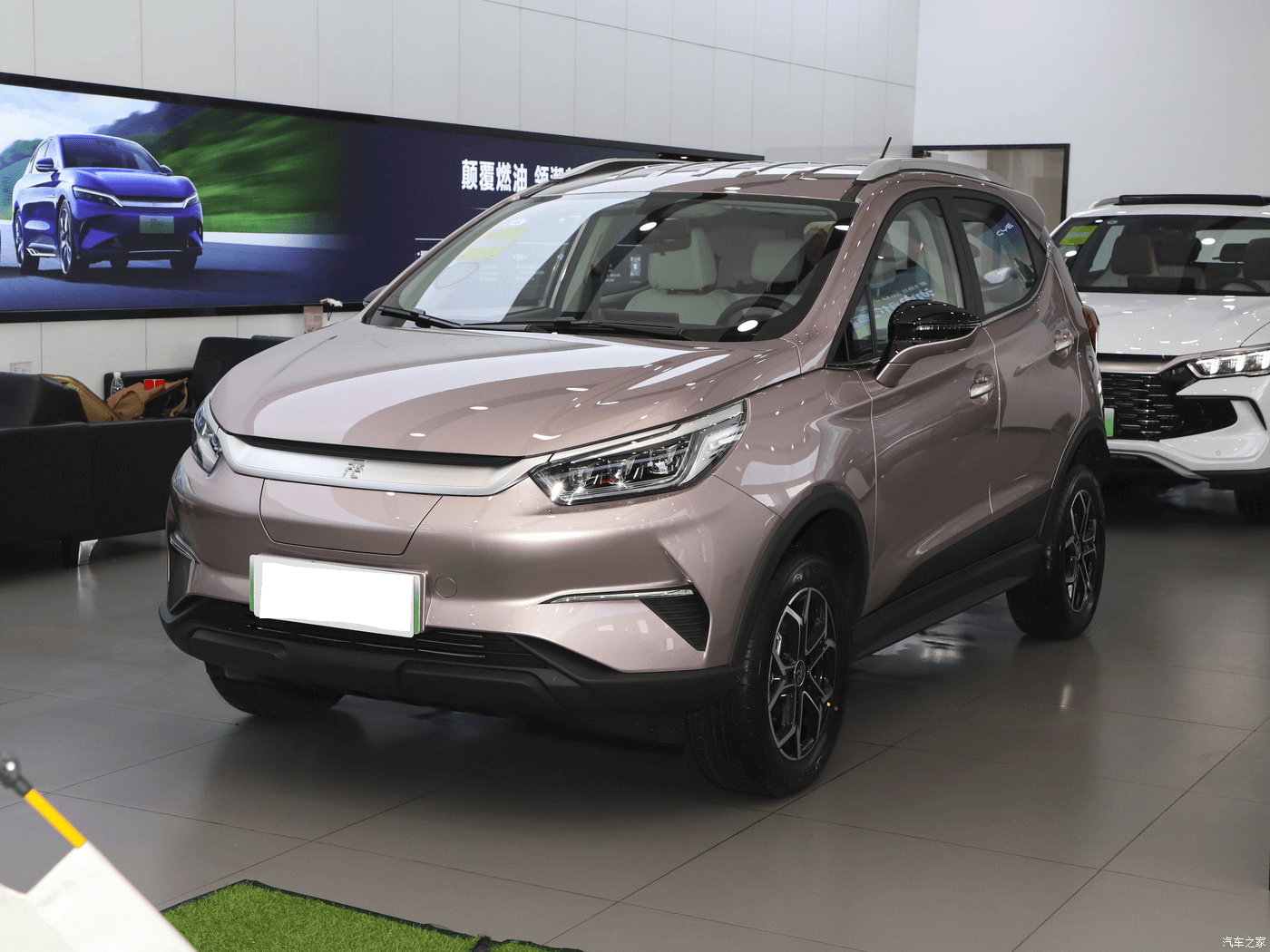 BYD YuanPro